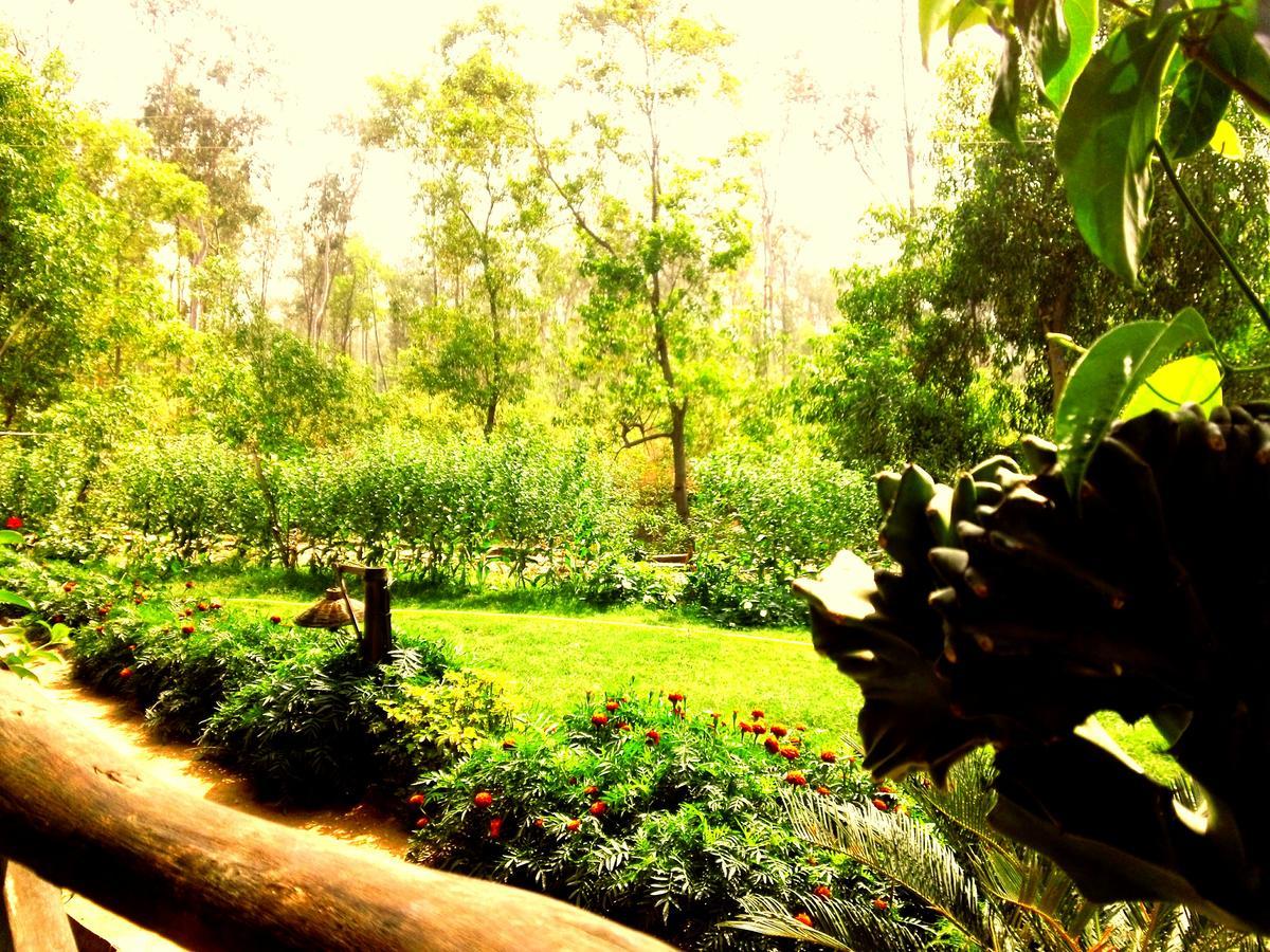 بولبور Roshnai Village Resort المظهر الخارجي الصورة
